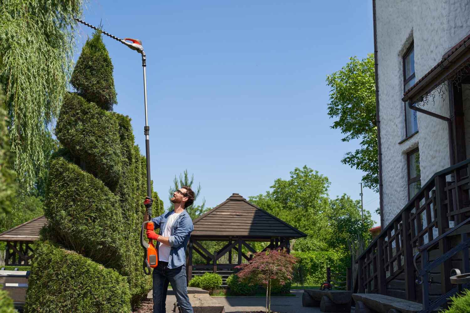 Best Tree Pruning Services  in Mattawan, MI